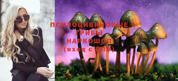 стаф Белоозёрский