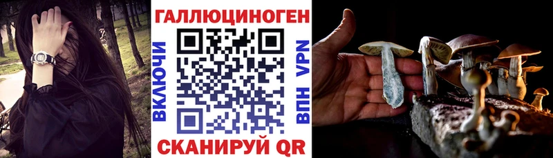 Псилоцибиновые грибы ЛСД  купить наркотики цена  Циолковский 