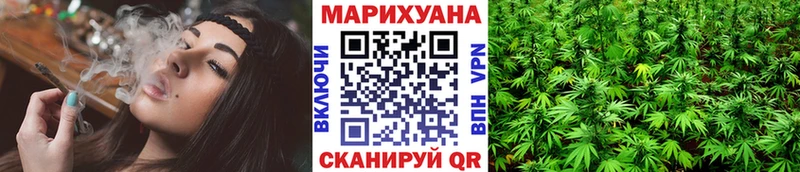 Бошки Шишки план  как найти закладки  Циолковский 